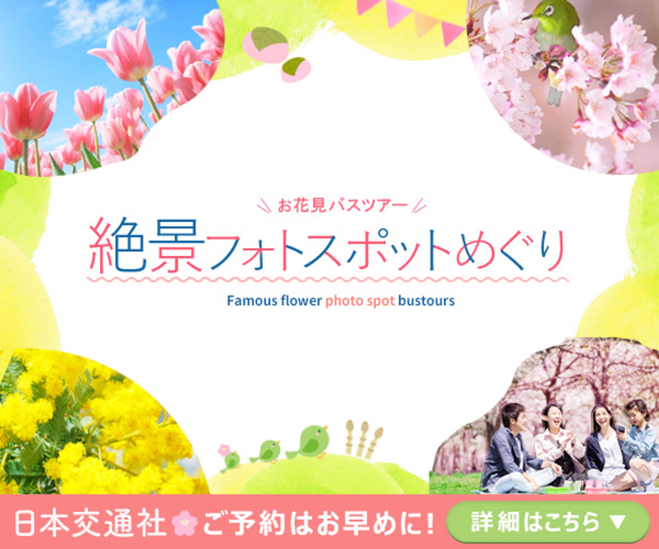フォトスポットめぐりバナー-1