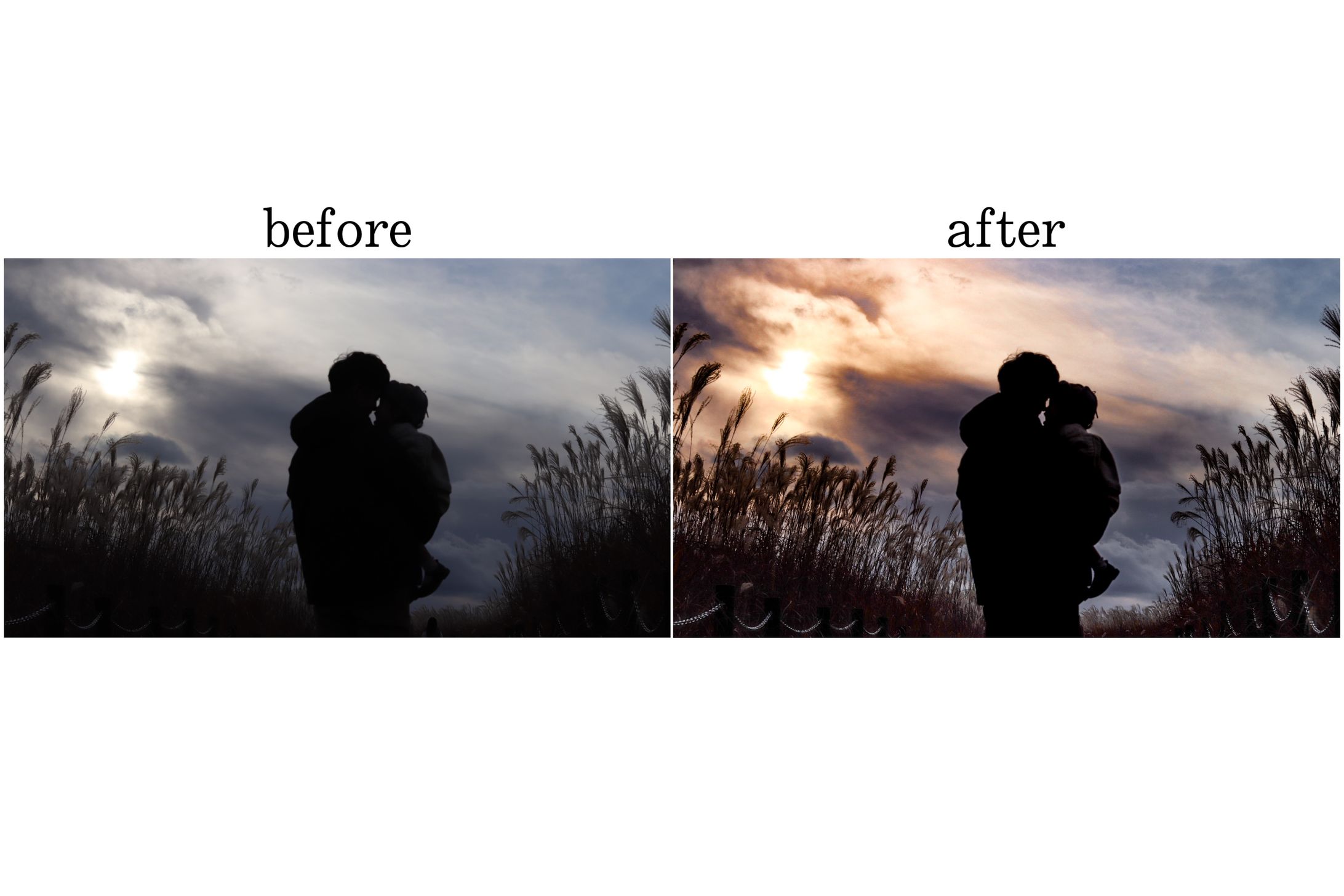 フォトレタッチ-1