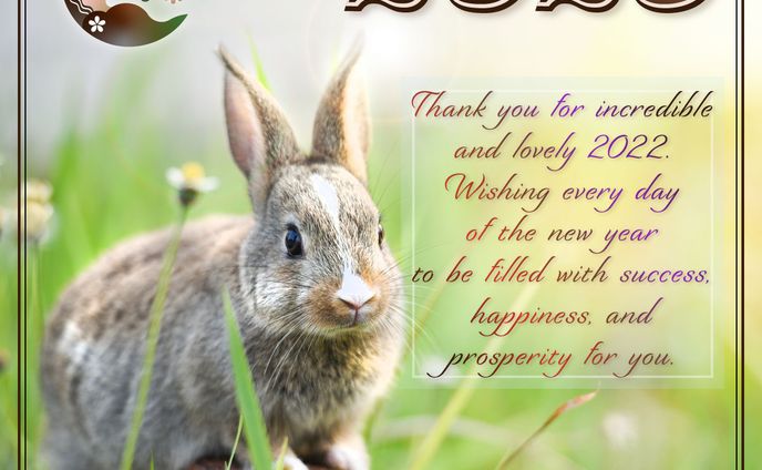 2023rabbit