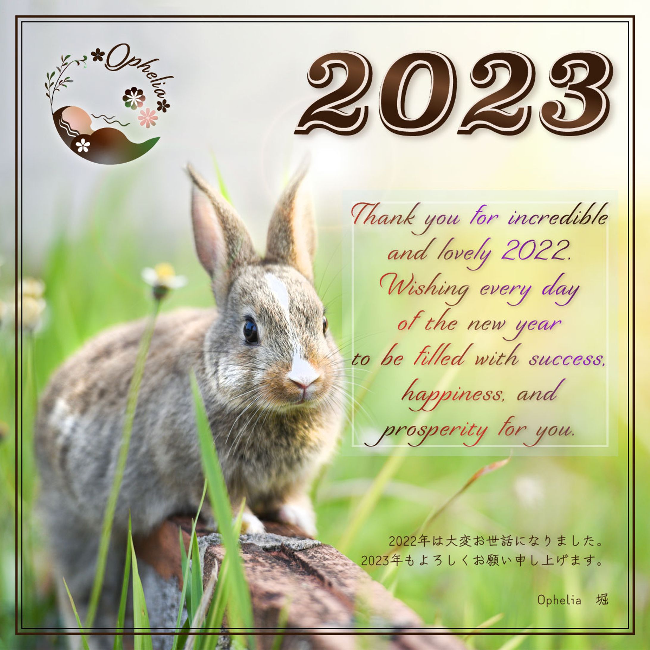 2023rabbit-1