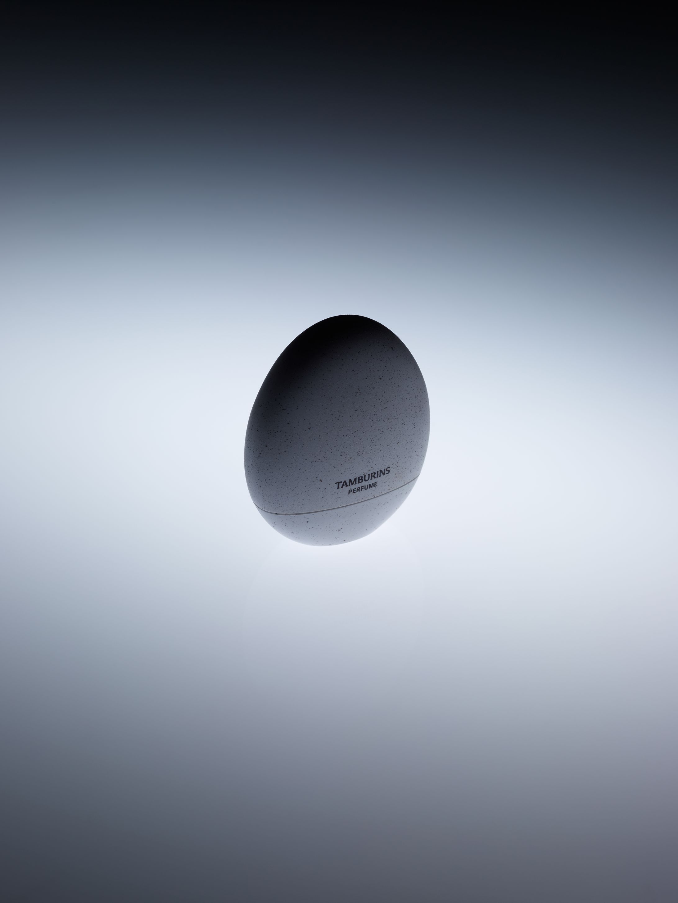 SPACE EGG-1