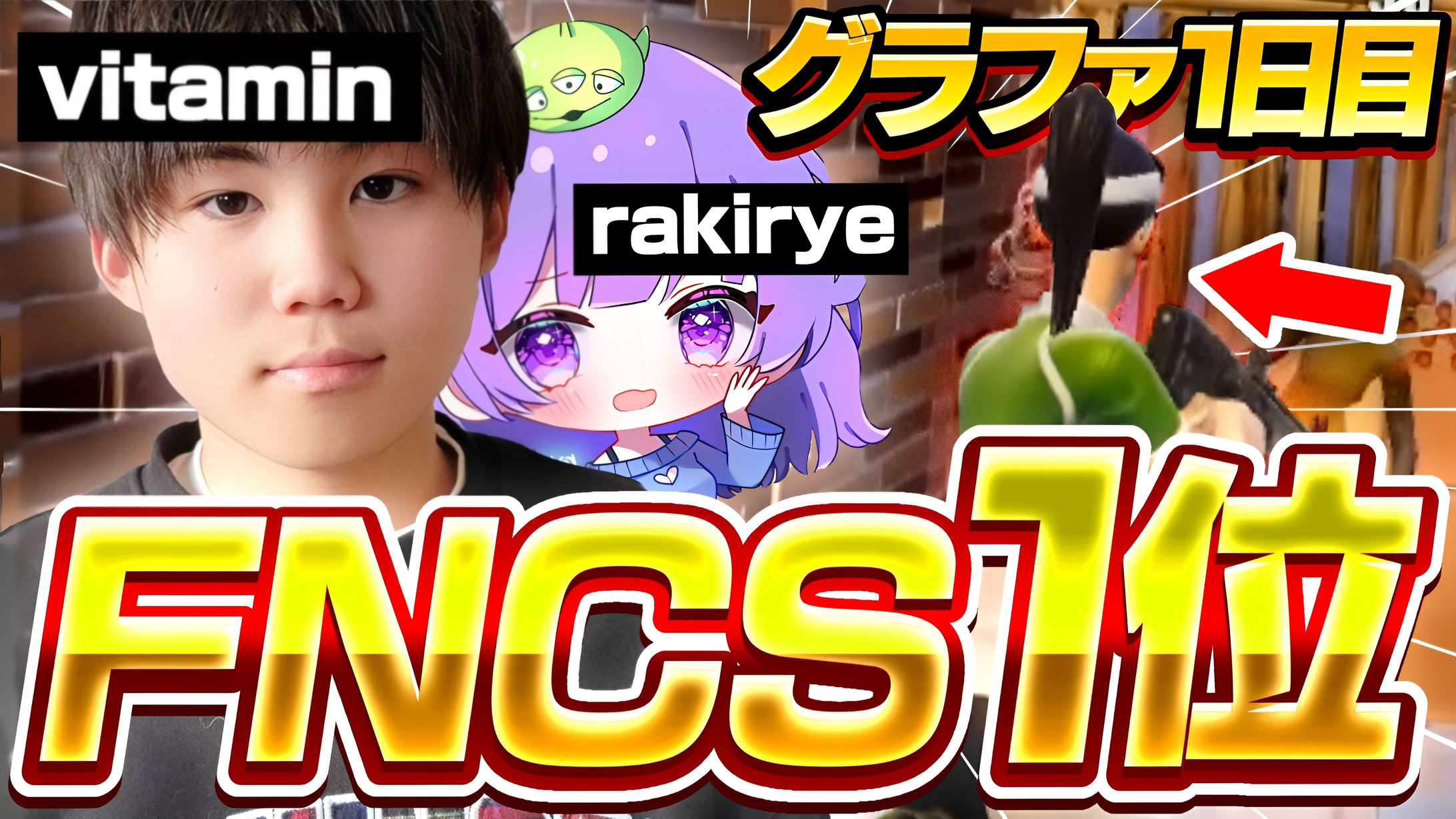 AJS vitaminsuu様宛/サムネイル-1