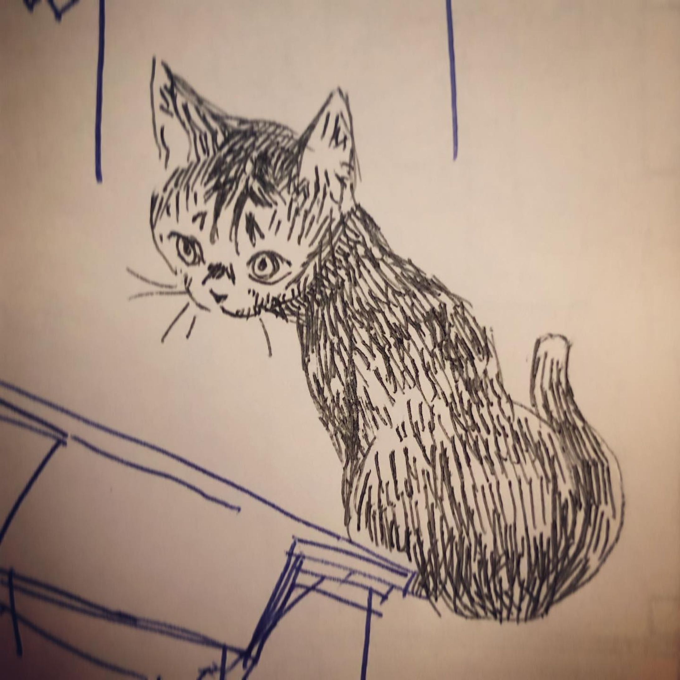 #イラスト #cat #らくがき-1