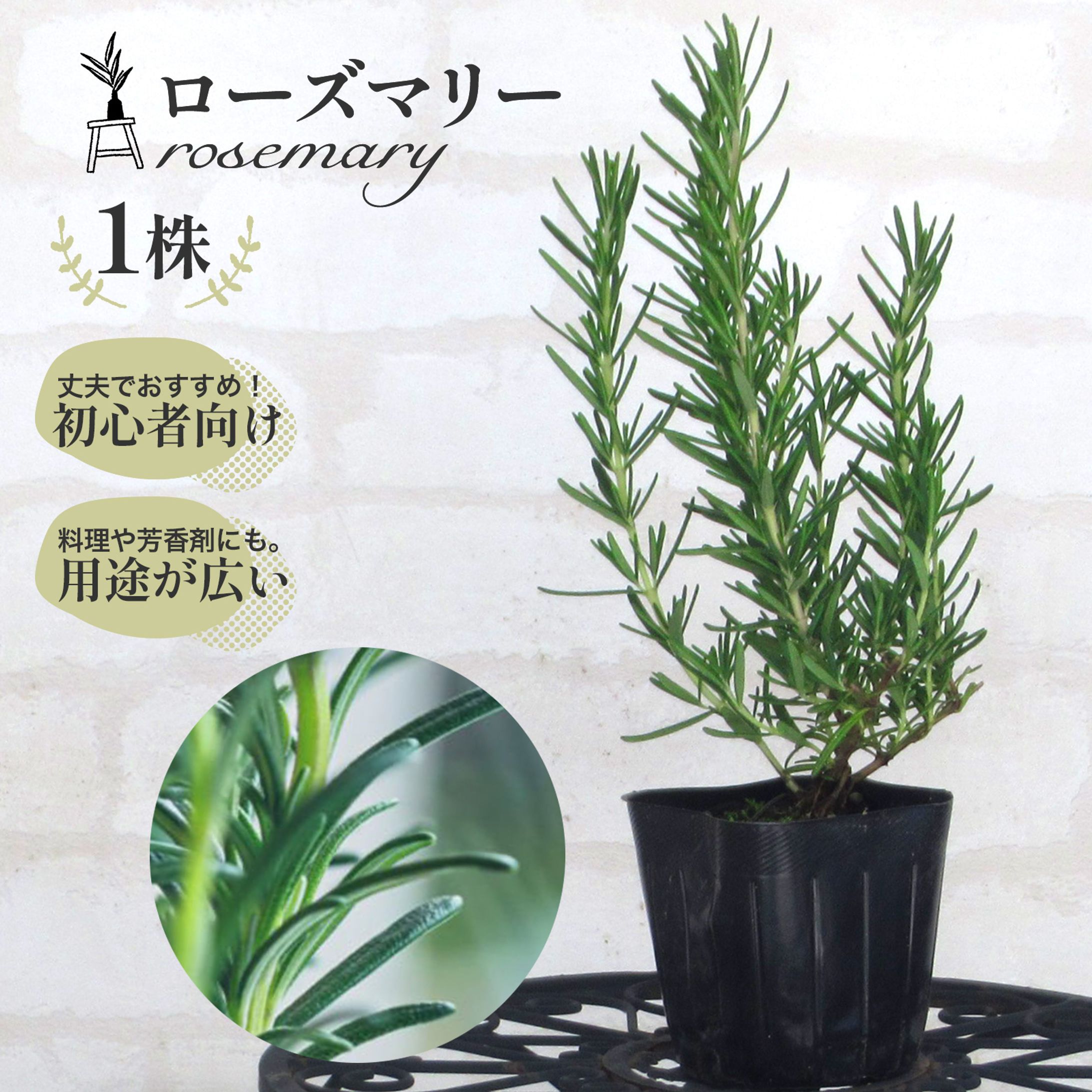 アマゾン・楽天市場（花農家様商品ページ制作）-1