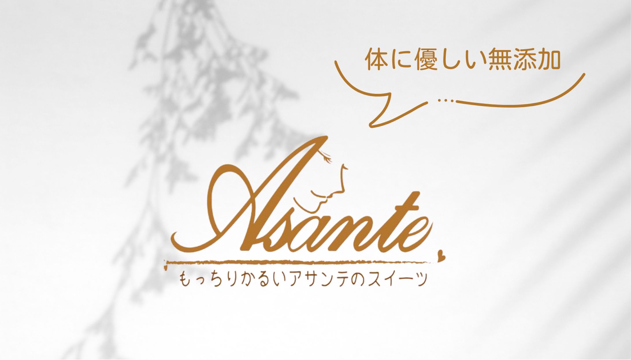 Asante_パッケージデザイン-1