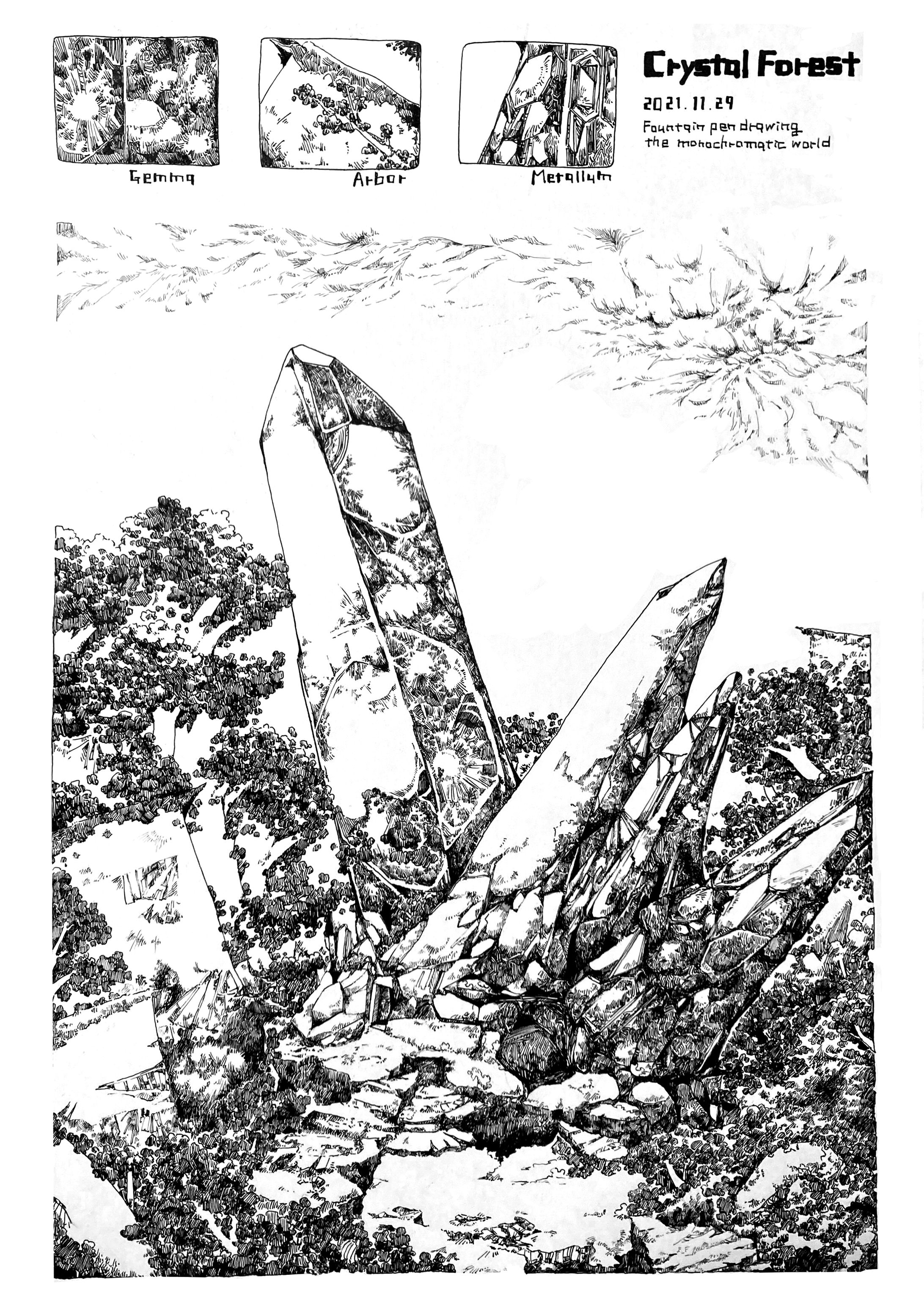 水晶林-1
