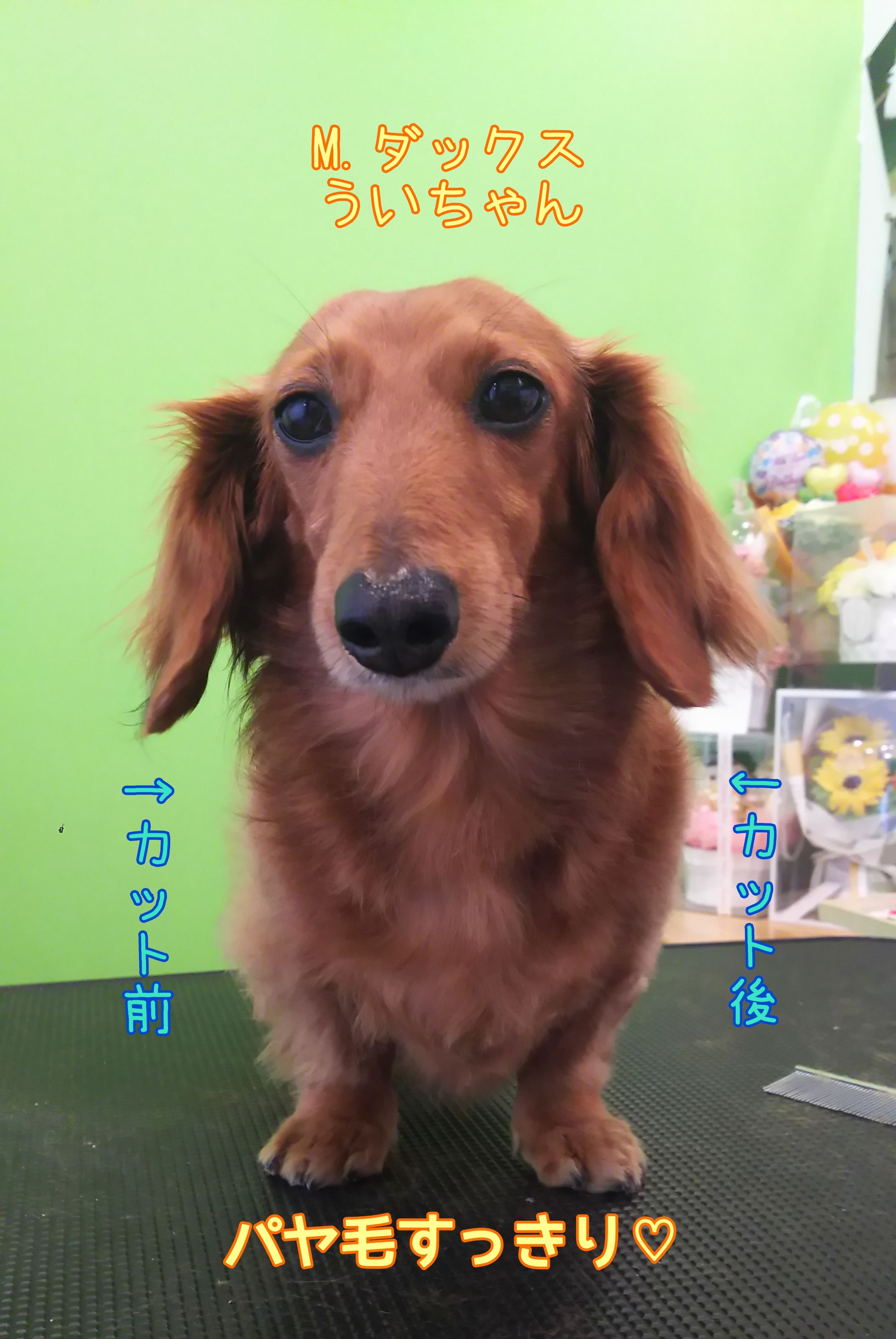 部分カット-1