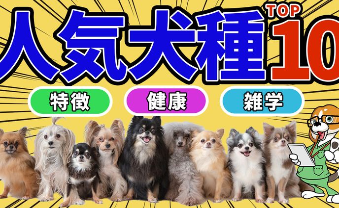 サムネイル、チラシ