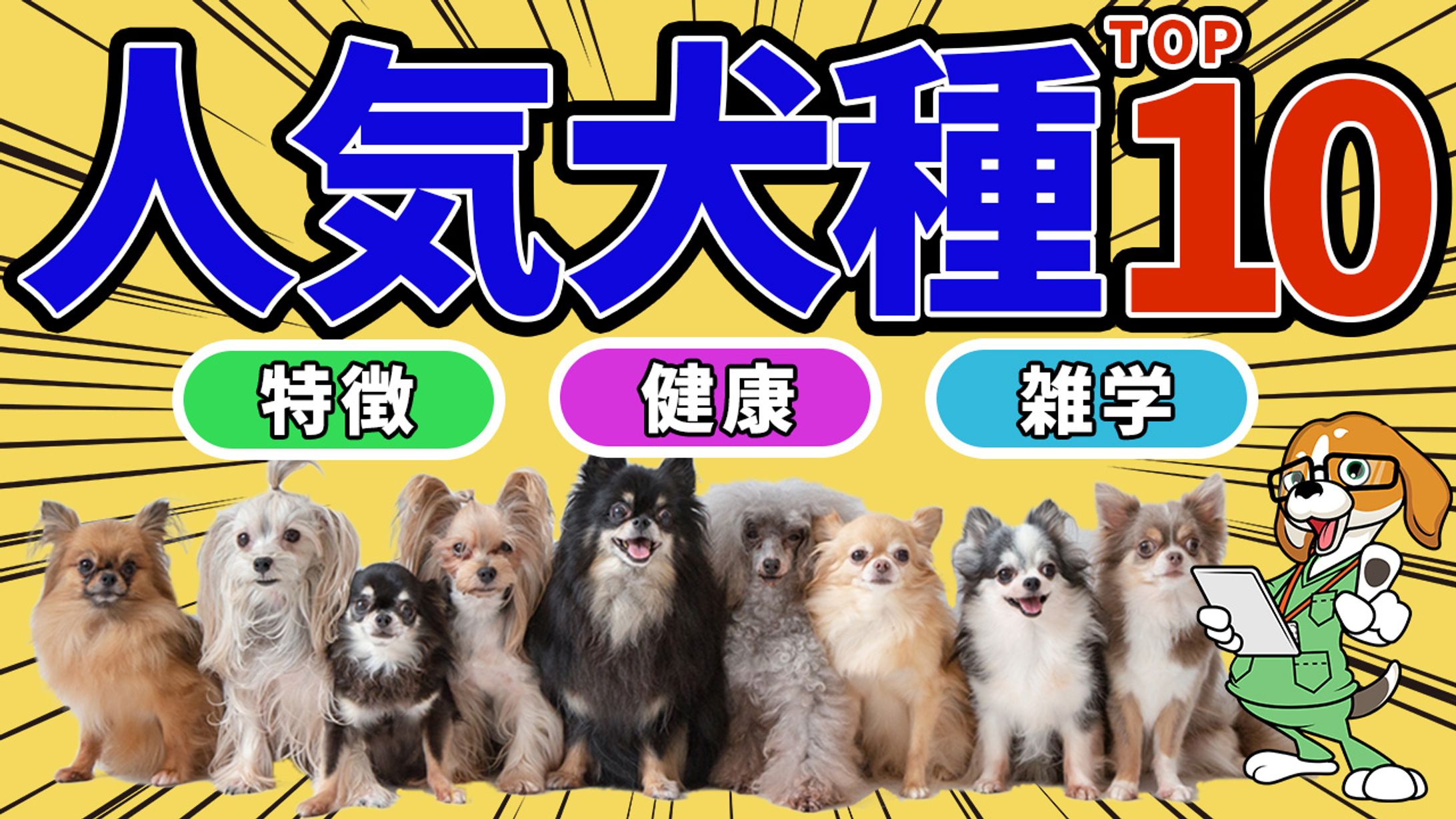 サムネイル、チラシ-1