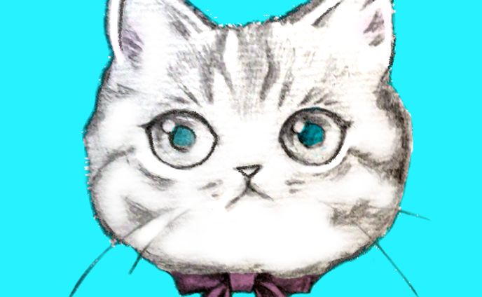 猫アイコン