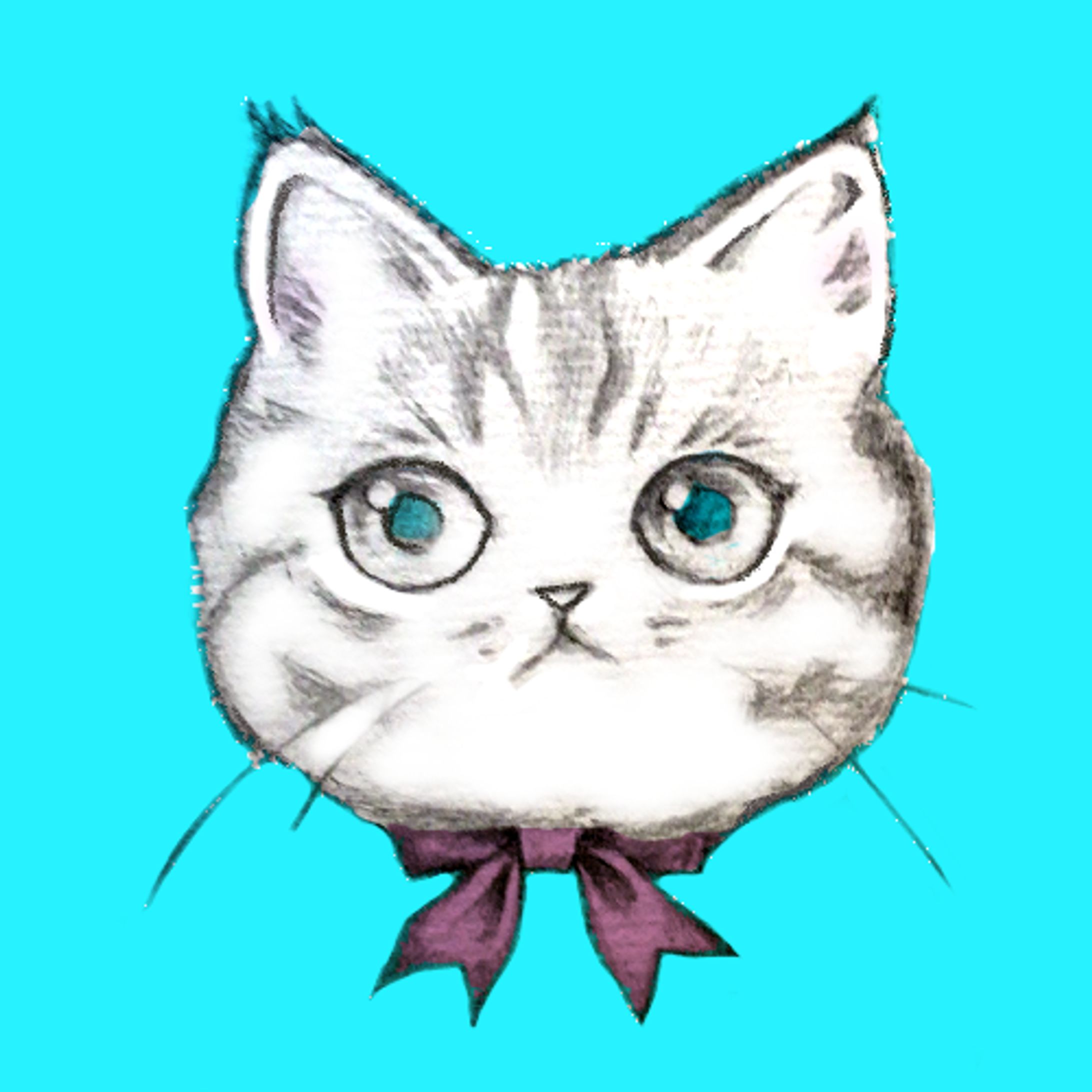 猫アイコン-1
