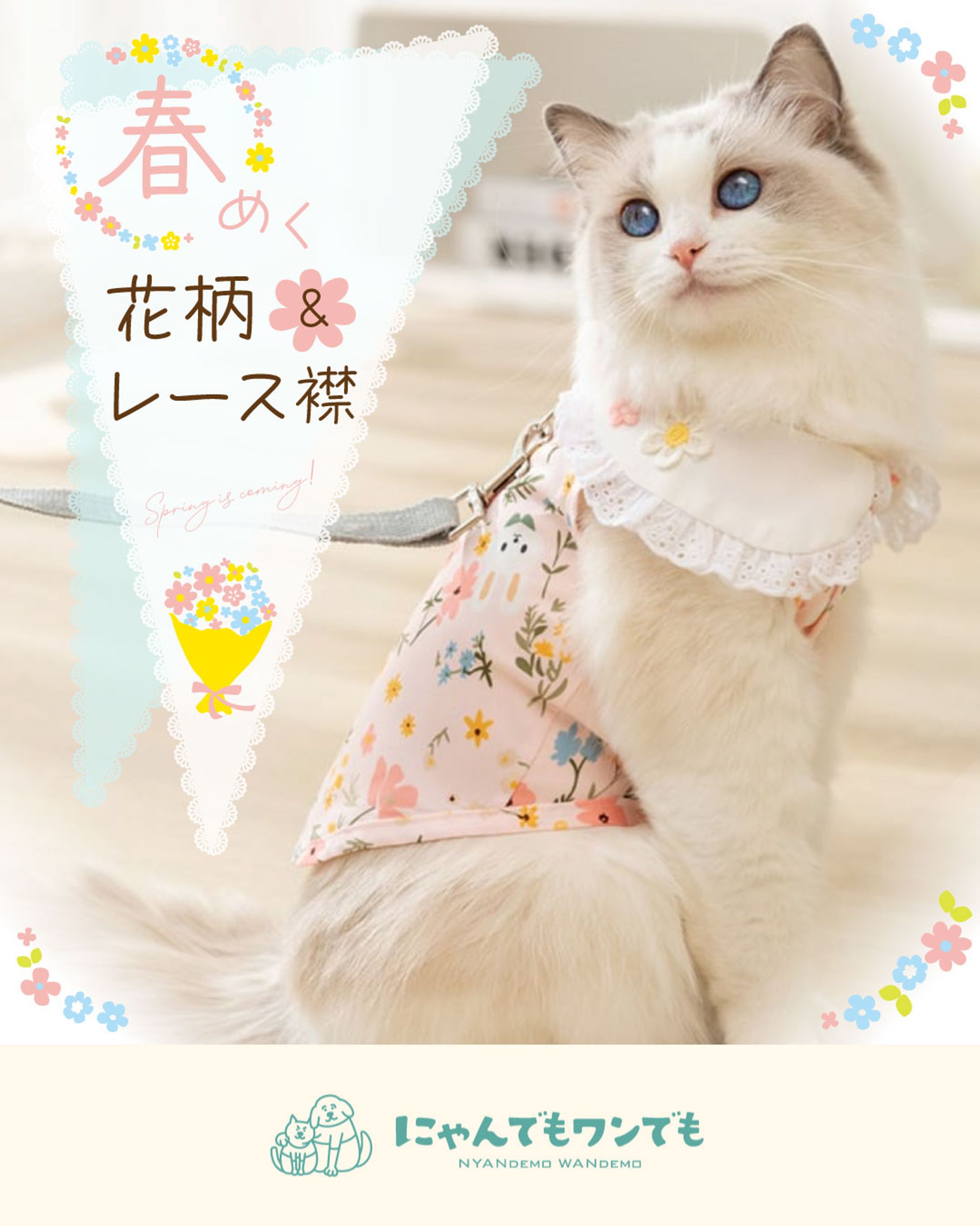 バナー：ペットウェアショップ（Instagram用）-1