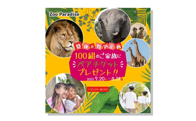 動物園_夏