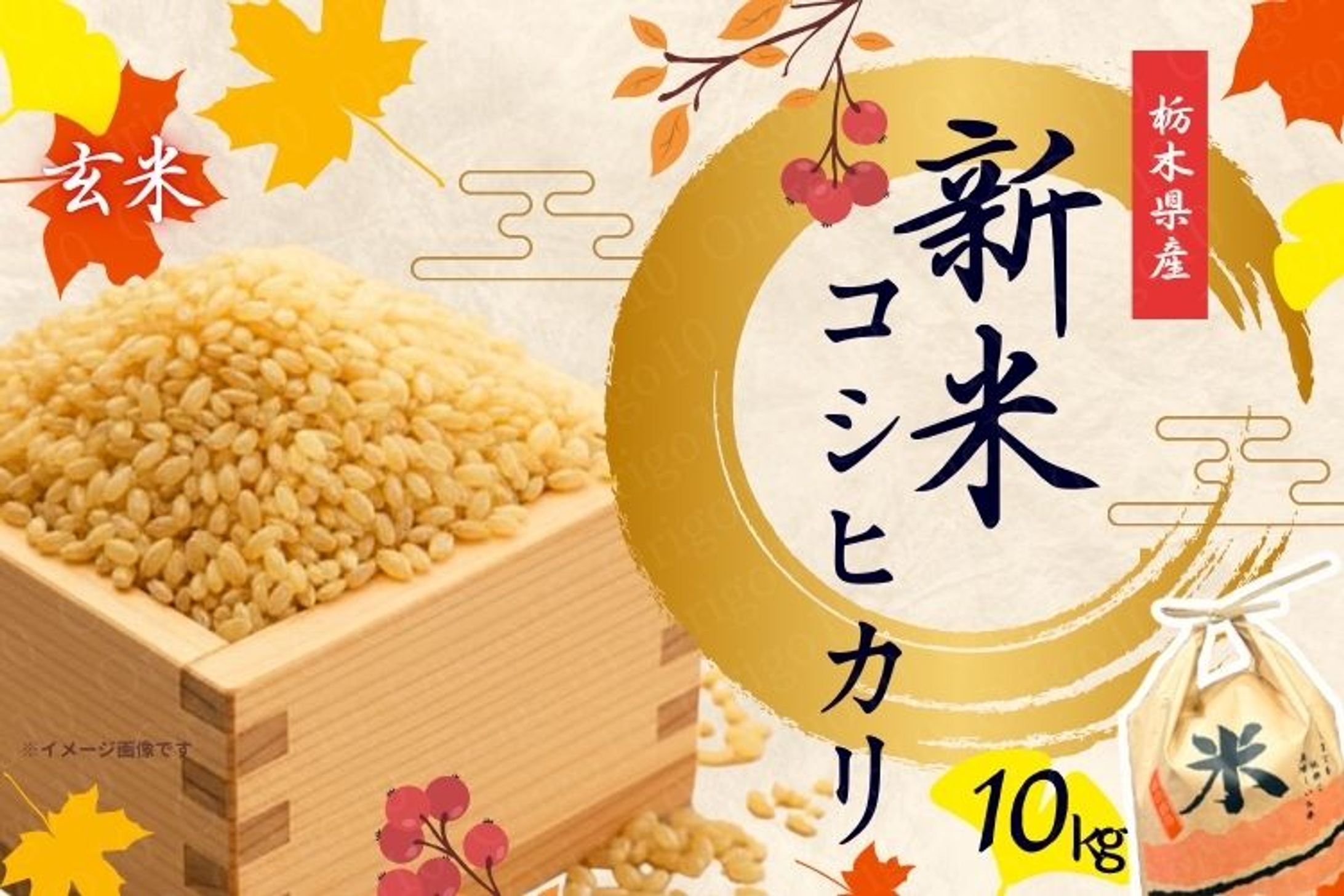 栃木県産【新米】コシヒカリ-1