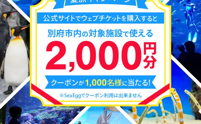 水族館のSNS広告用バナー