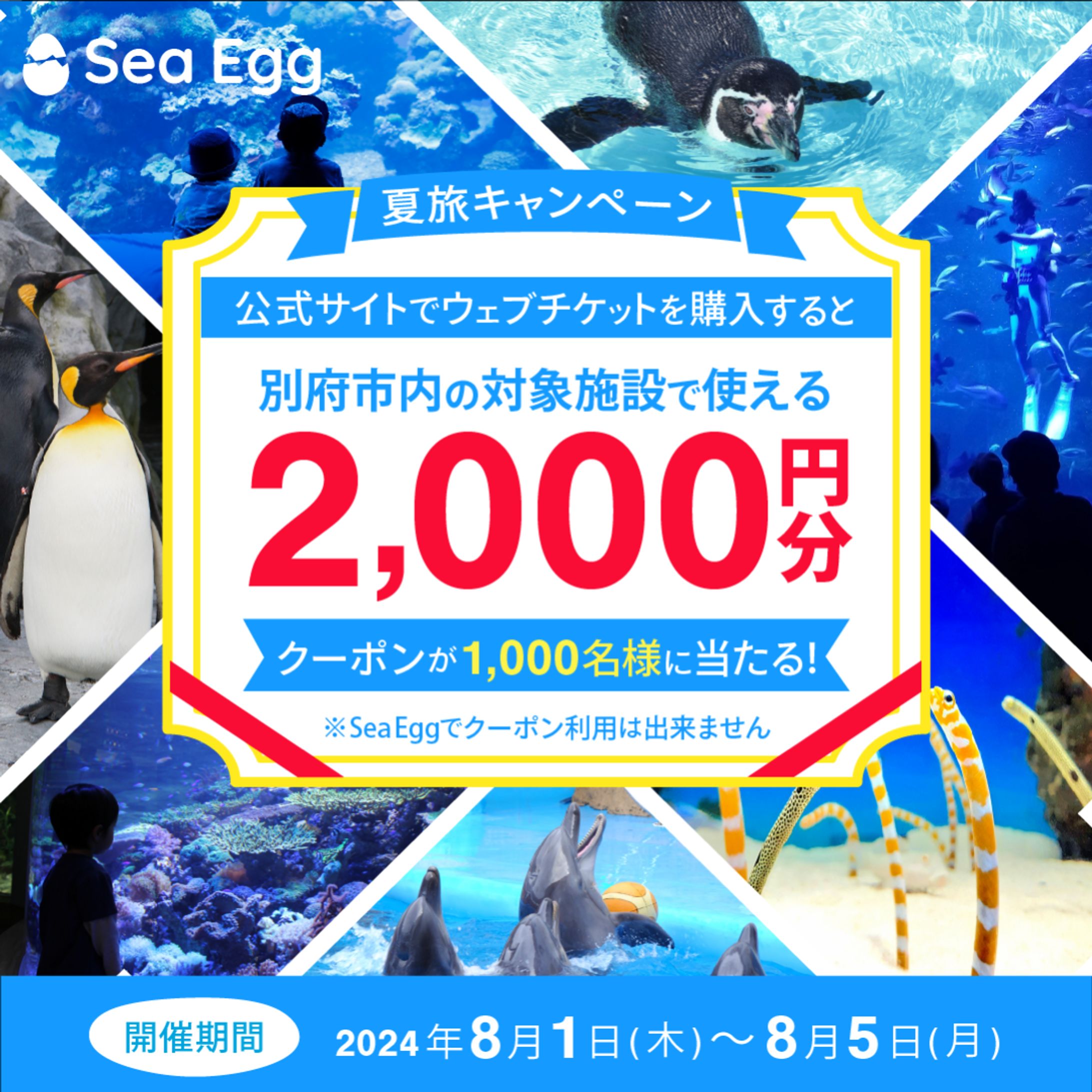 水族館のSNS広告用バナー-1