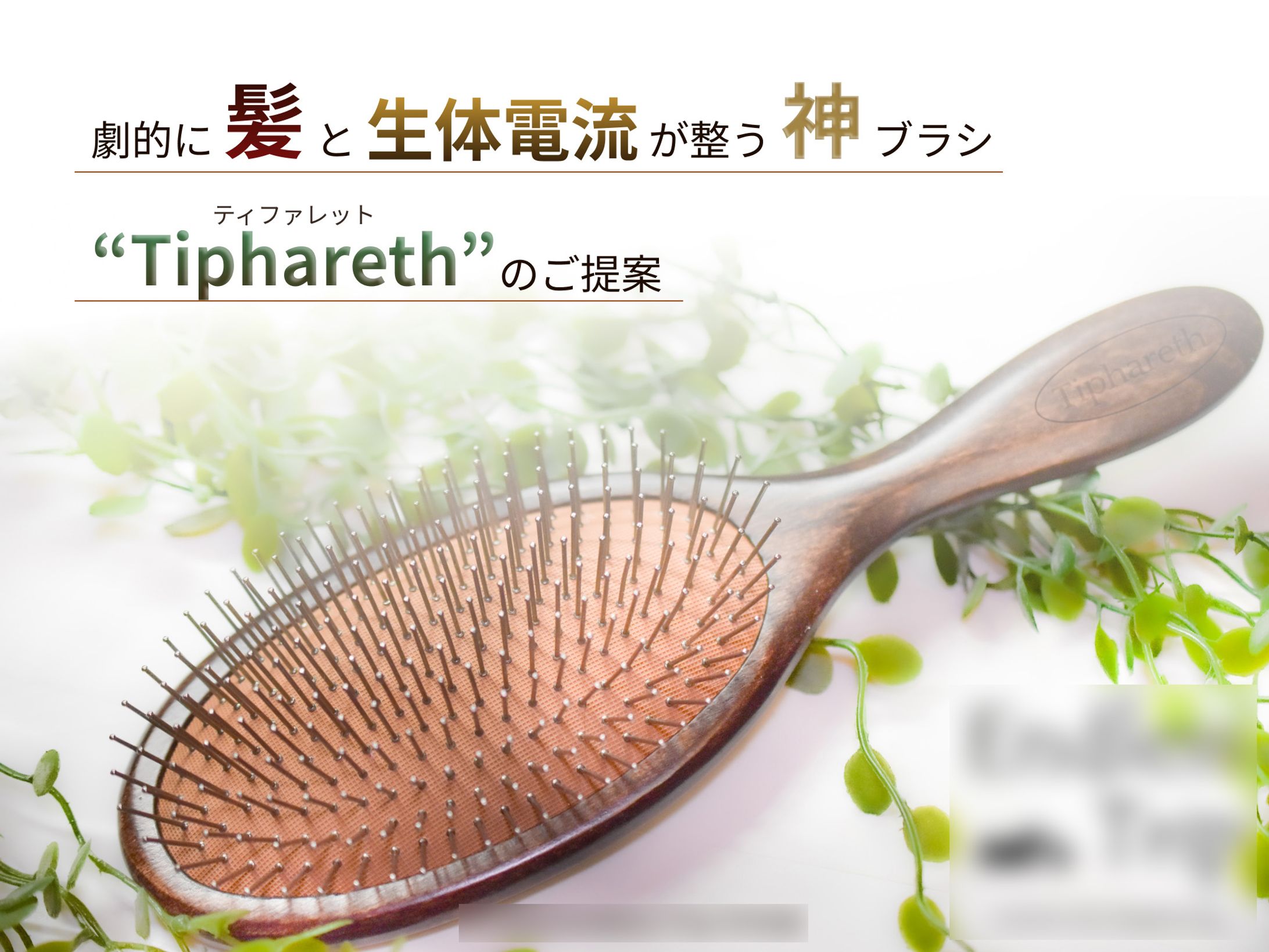 ヘアブラシ営業資料-1