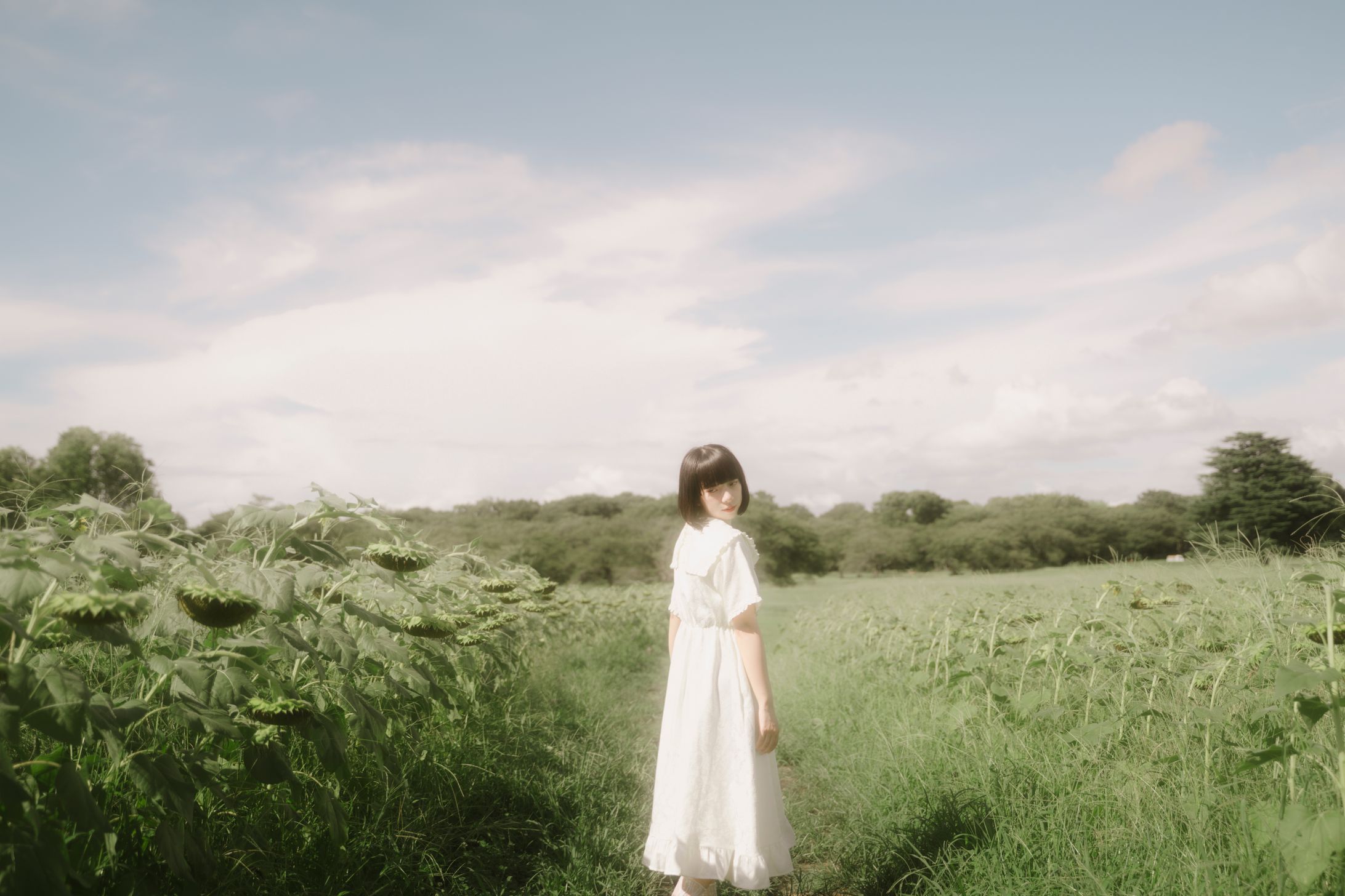 夏-1