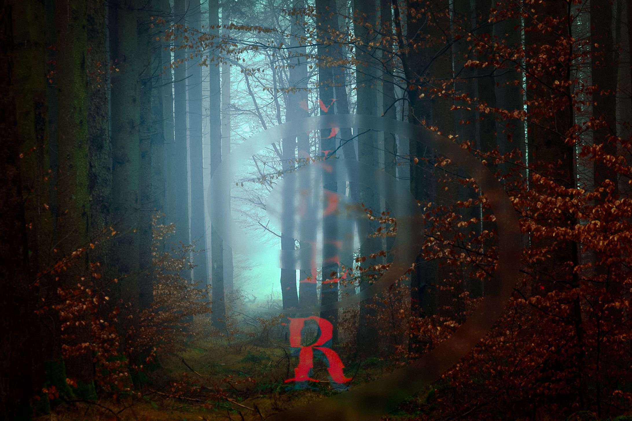 Wonder Forest-1