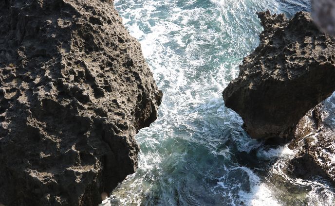 フォトグラファー、コンテスト