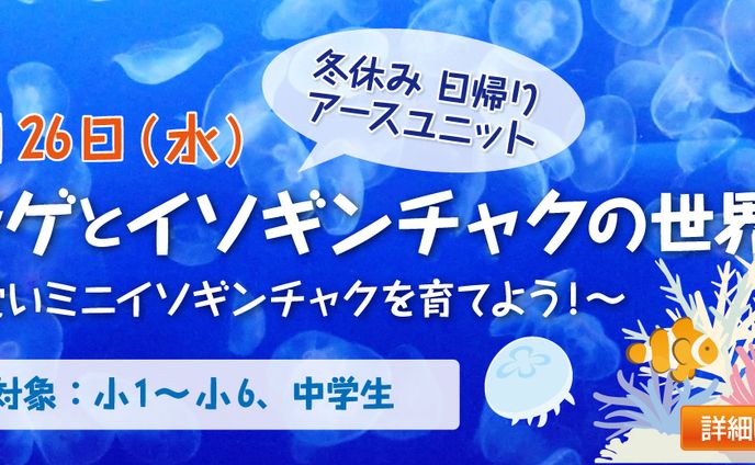 🖼️ バナー、実験映画