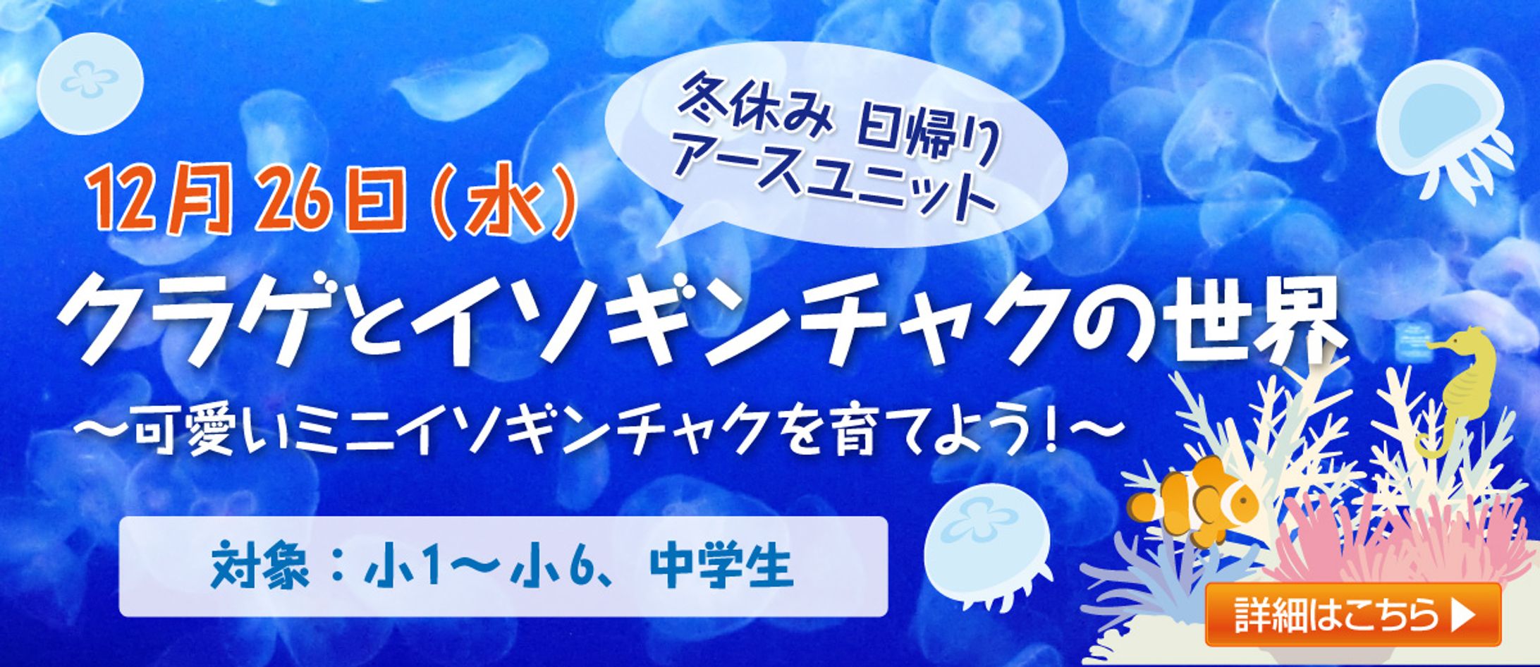 理科実験教室 バナーデザイン-1
