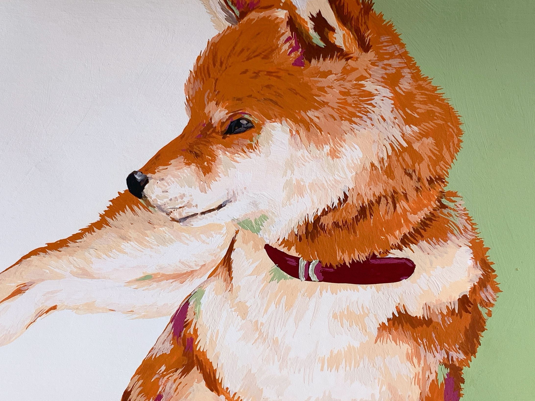 柴犬-1