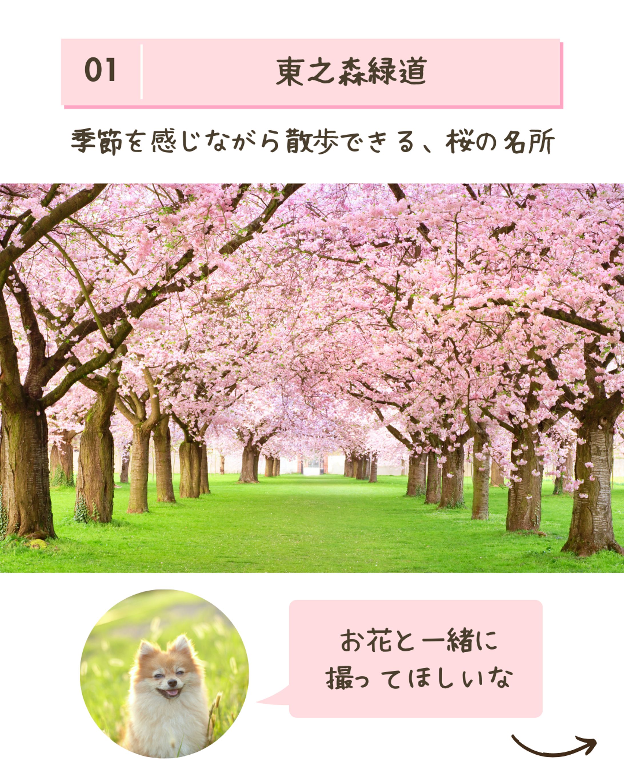 Instagramフィード投稿用画像-1