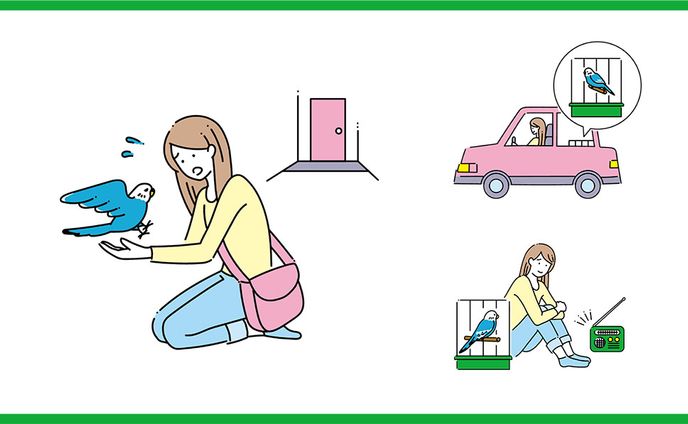 【実績】鳥ぐらし vol.2 防災コーナーイラスト