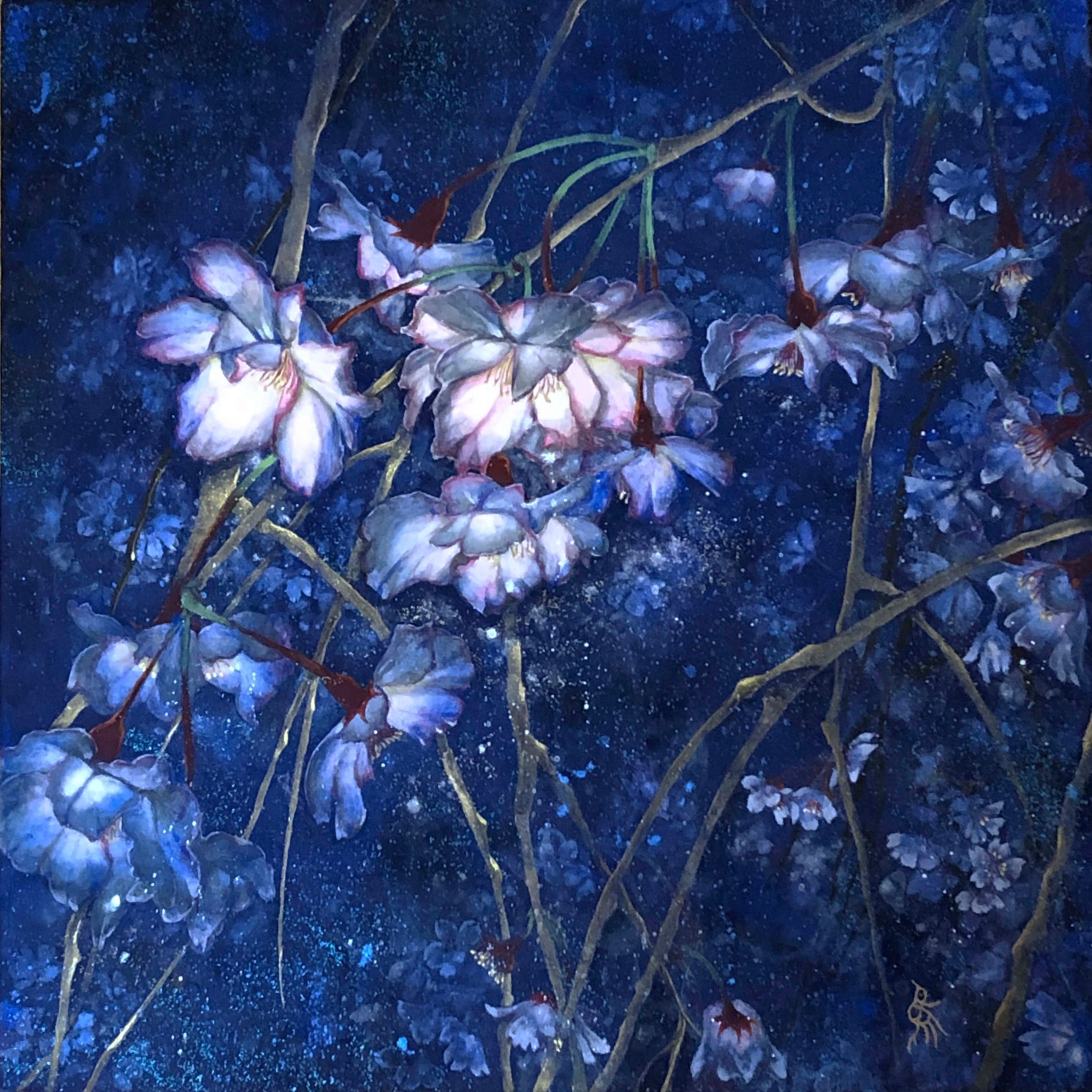 枝垂八重桜-1