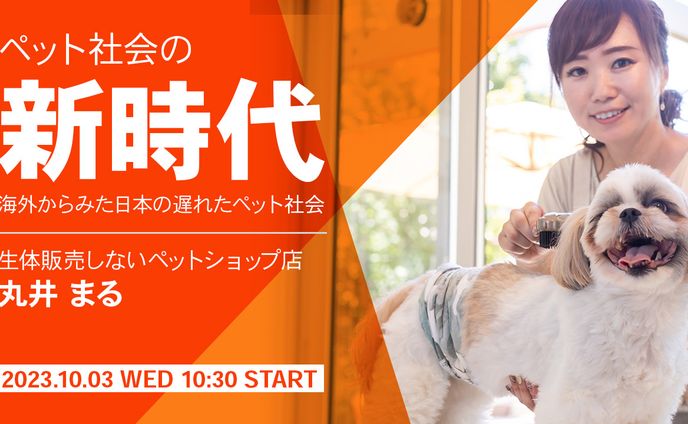 動物系、youtubeサムネ