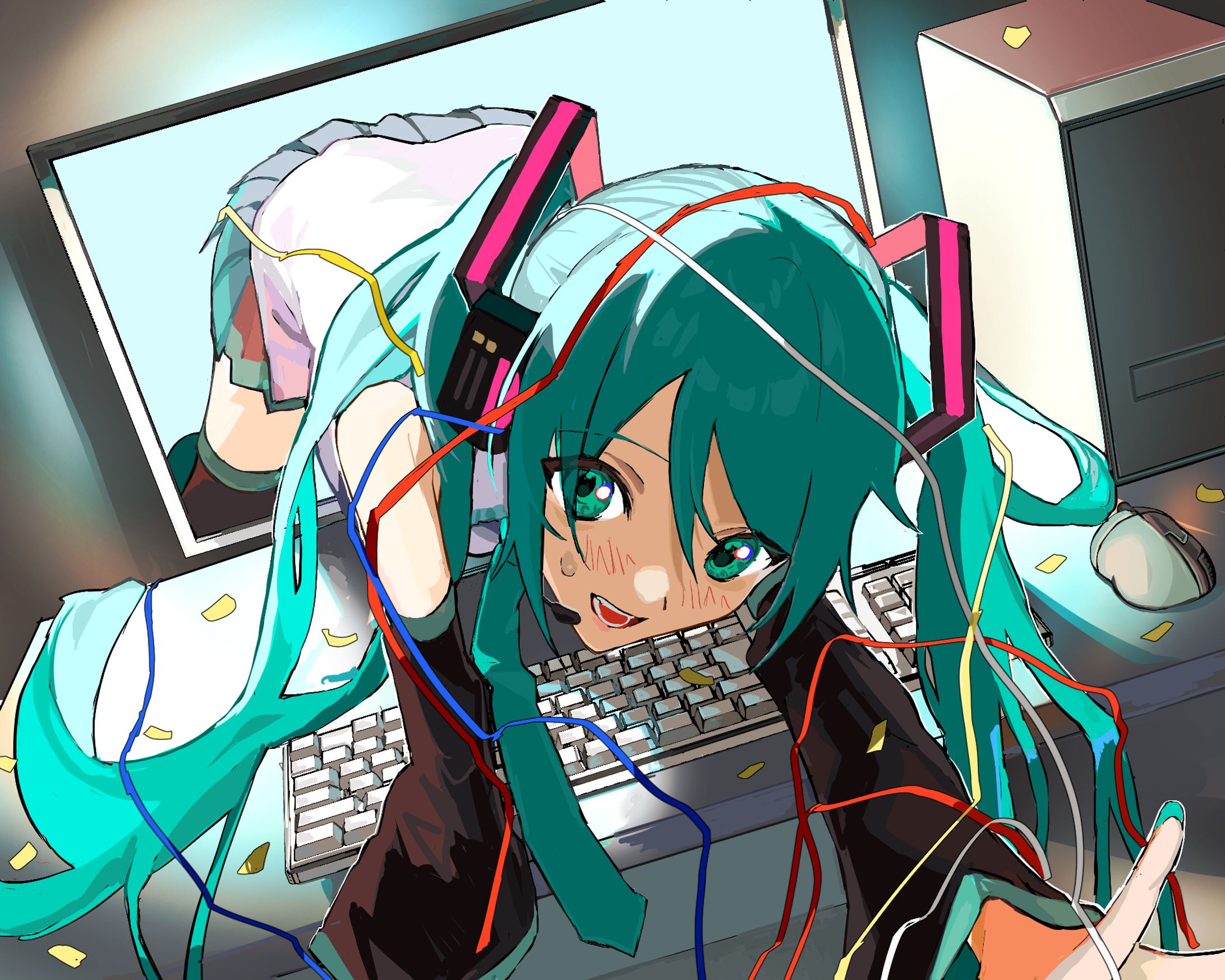 ミクさん-1