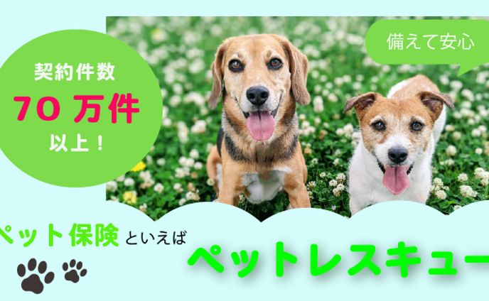 ペット保険の広告バナー