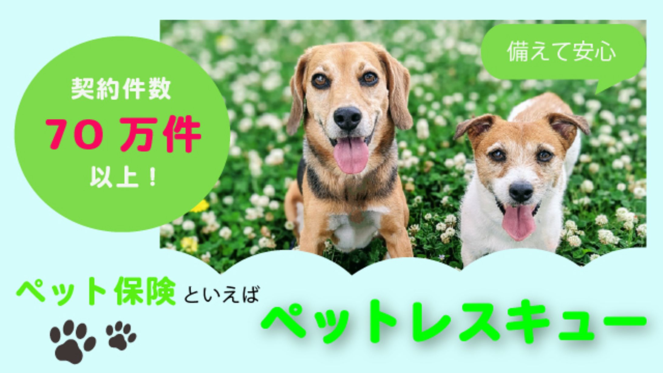 ペット保険の広告バナー-1