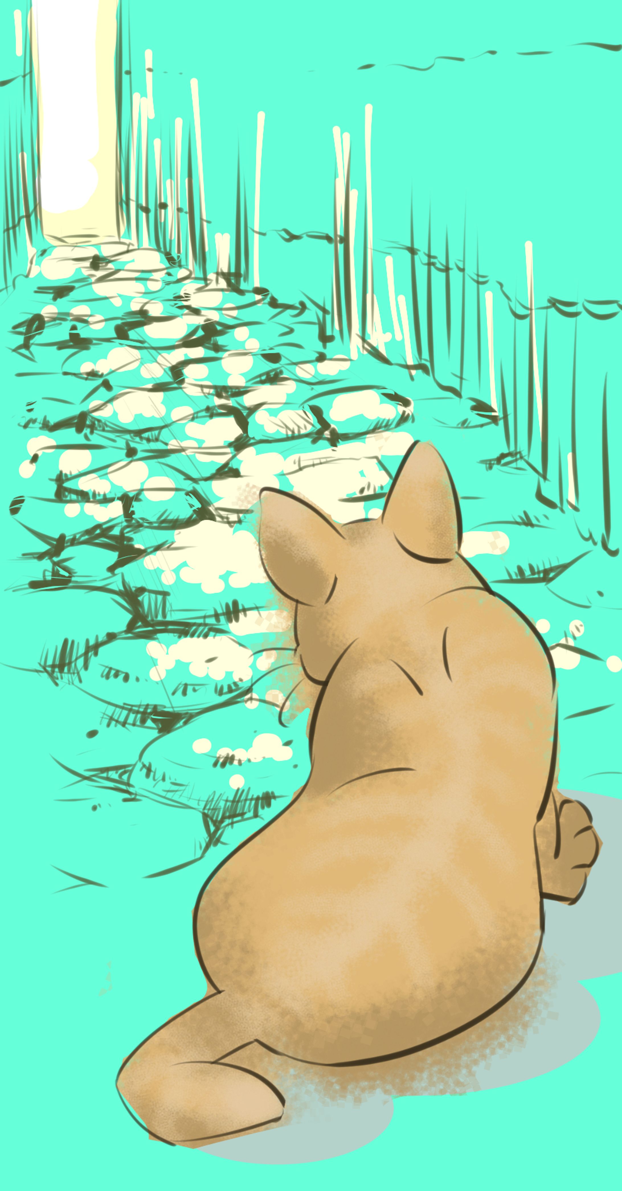 my cat-1