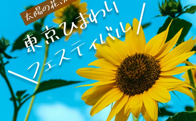 フリーター、sp