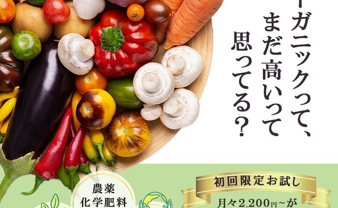 野菜の定期便（バナー）