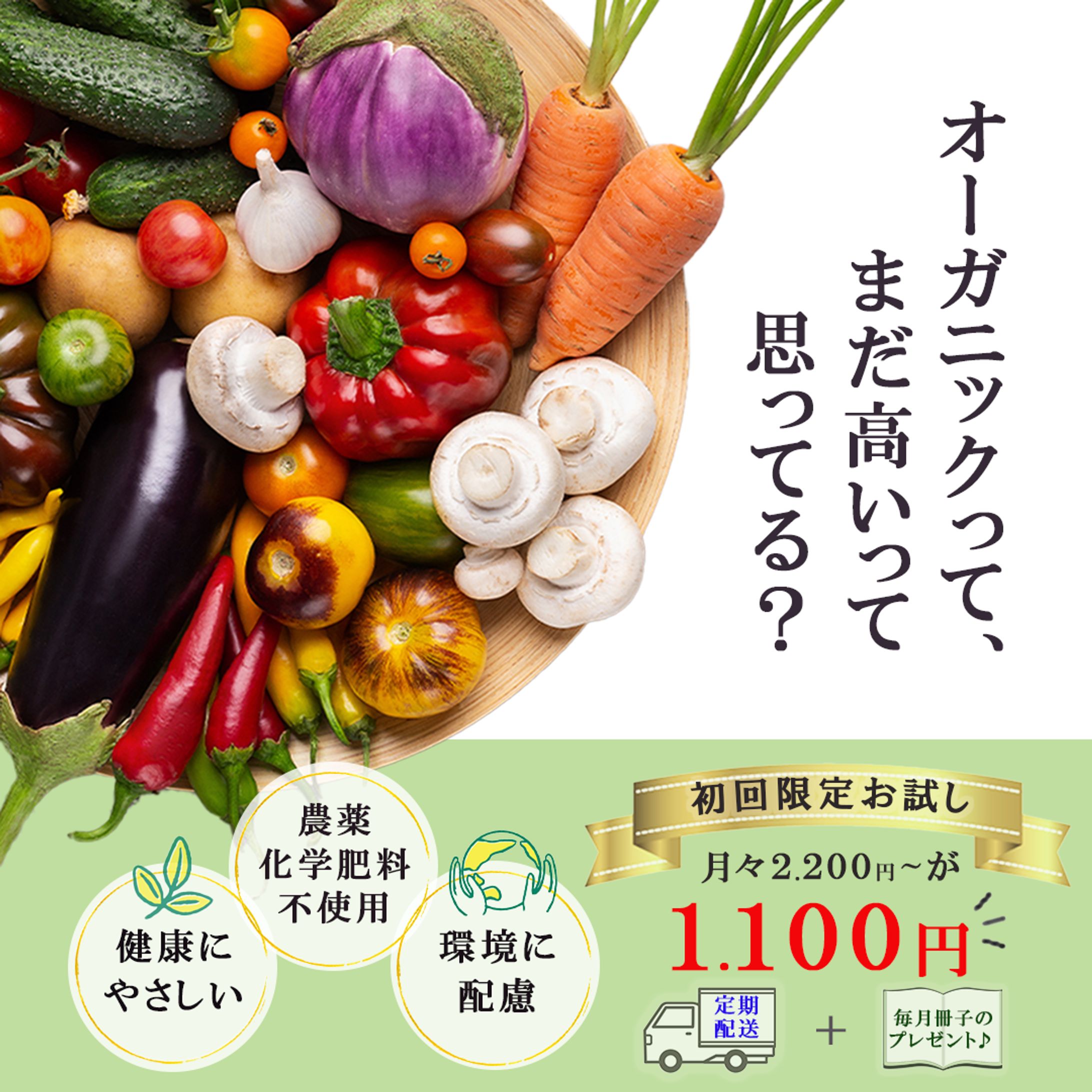 野菜の定期便（バナー）-1