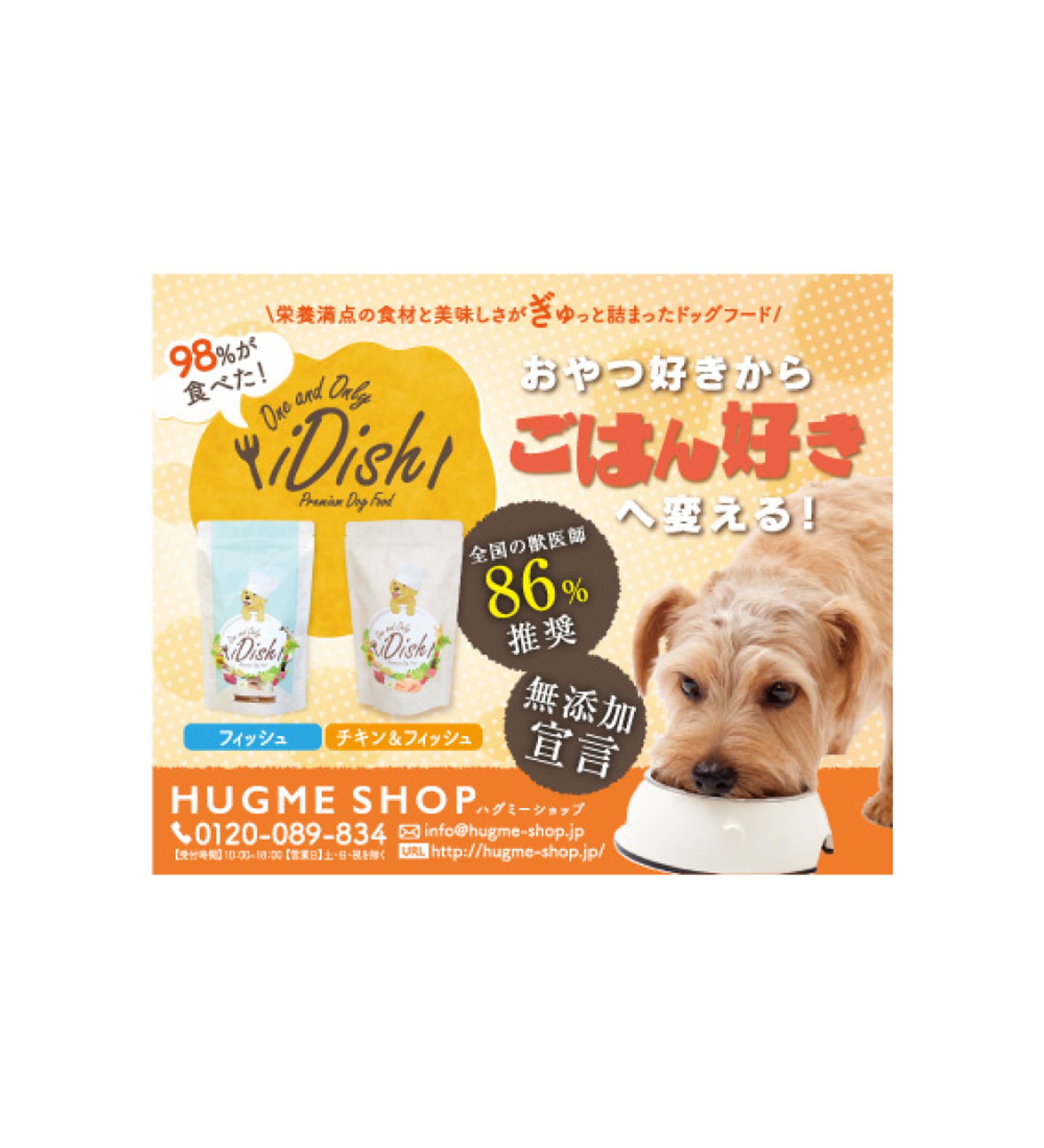 チラシ掲載バナー｜iDish-1