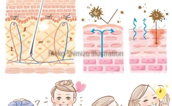 美容イラスト_natural science「ナチュラルメッセプラス早春号」