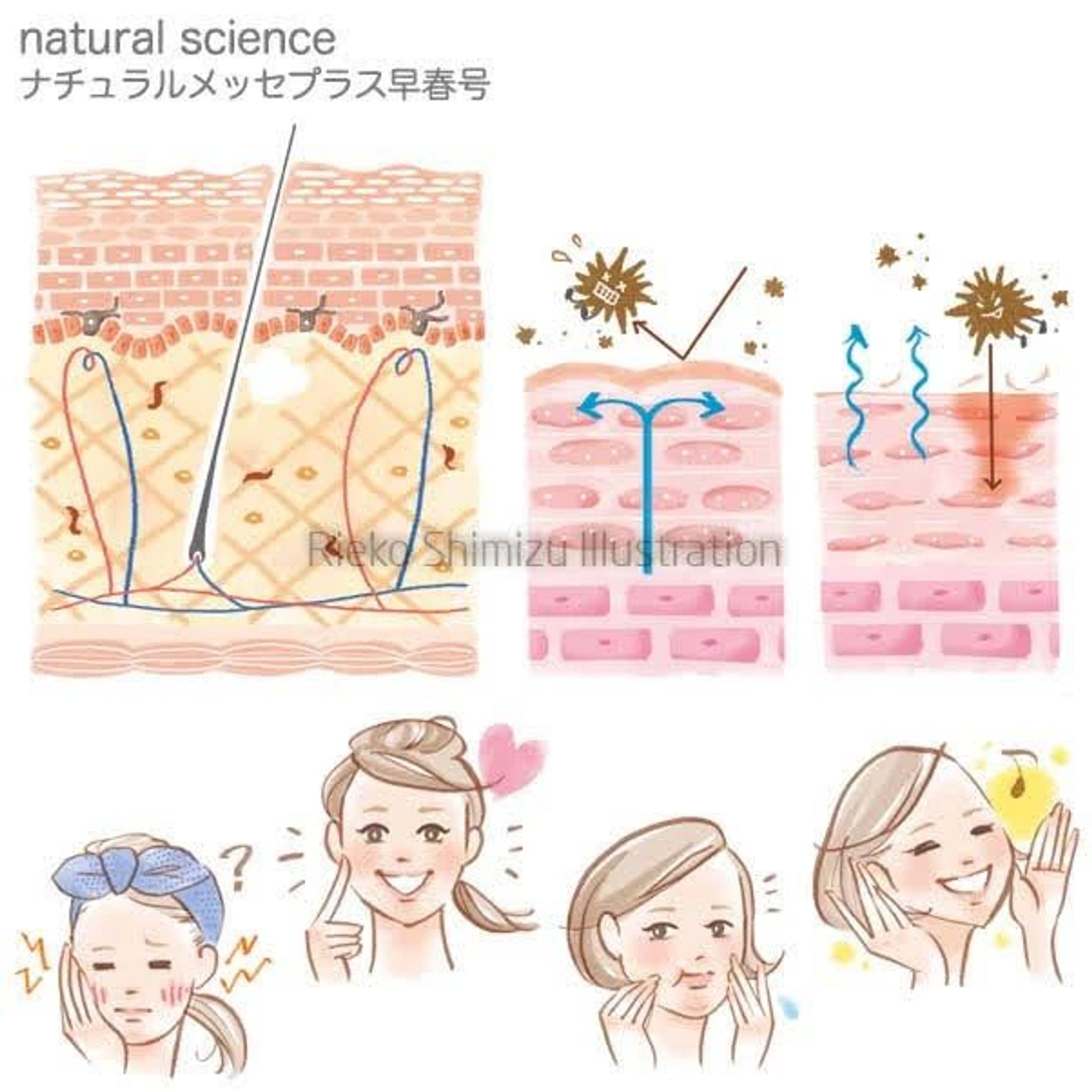 美容イラスト_natural science「ナチュラルメッセプラス早春号」-1