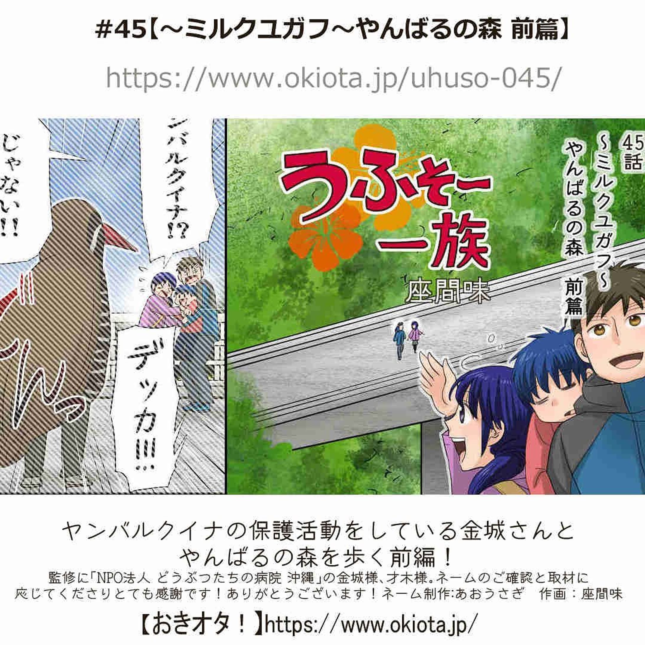 #45【～ミルクユガフ～やんばるの森 前篇】

ヤンバルクイナの保護活動をしている金城さんと
やんばるの森を歩くお話・前篇✨

監修に「NPO法人 どうぶつたちの病院 沖縄」の金城様、才木様。
ネームのご確認と取材に応じてくださりとても感謝です！ありがとうございます✨

ネーム制作:あおうさぎ　作画：座間味

-------------------------------------

↓サイトで無料で読めます
https://www.okiota.jp/uhuso-045/

＊漫画の詳細はプロフィールのリンクから【おきオタ！】をチェック！

https://www.okiota.jp/

#おきオタ #うふそー一族 #沖縄 #漫画 #ローカル #沖縄ネタ #ローカル #観光 #長尾橋 #沖縄県道２号線 #県道２号線 #世界自然遺産 #森林浴 #北部 #やんばる #ヤンバルクイナ #どうぶつたちの病院沖縄-1