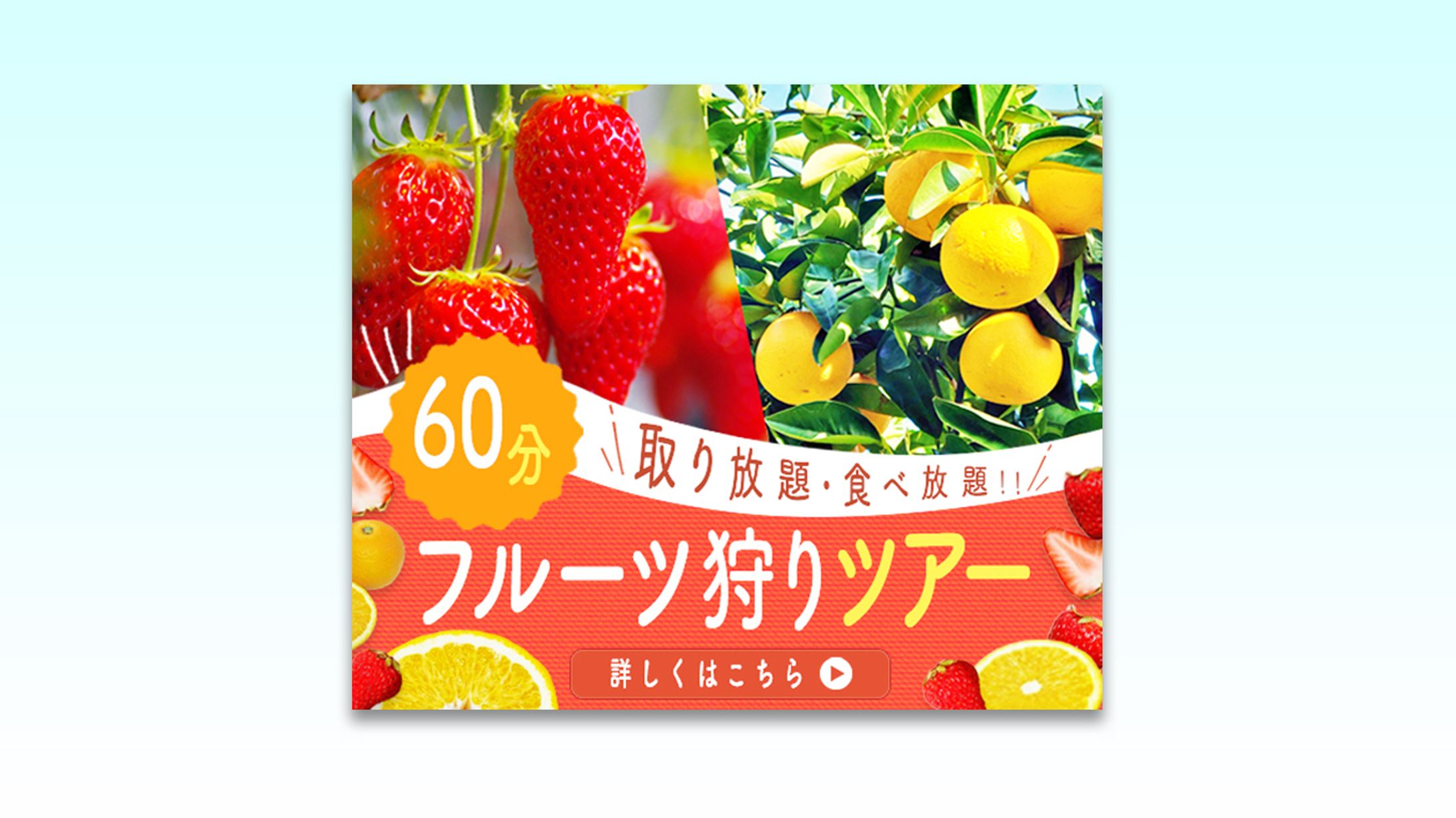 バナー：フルーツ狩りツアー -1