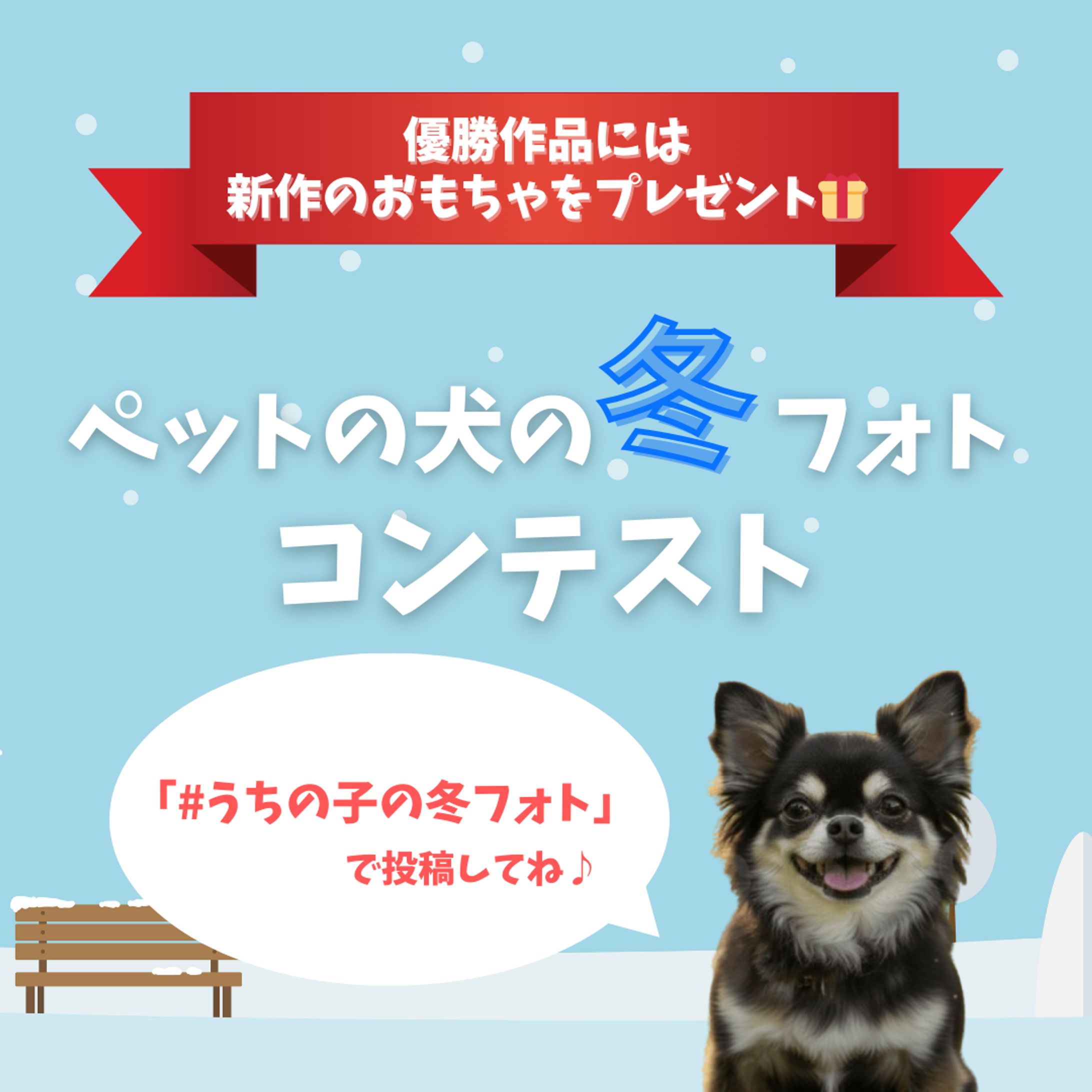 冬のフォトコンテストバナー-1