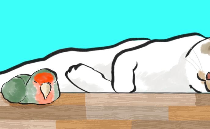 ココヘッダー