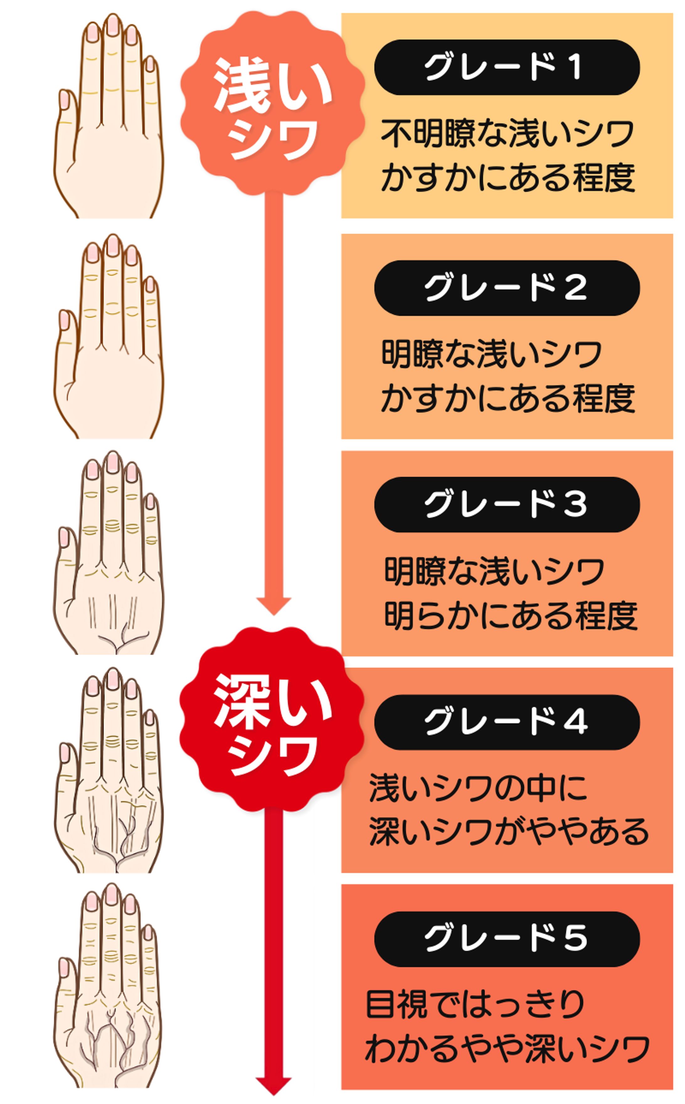 記事内バナー-1