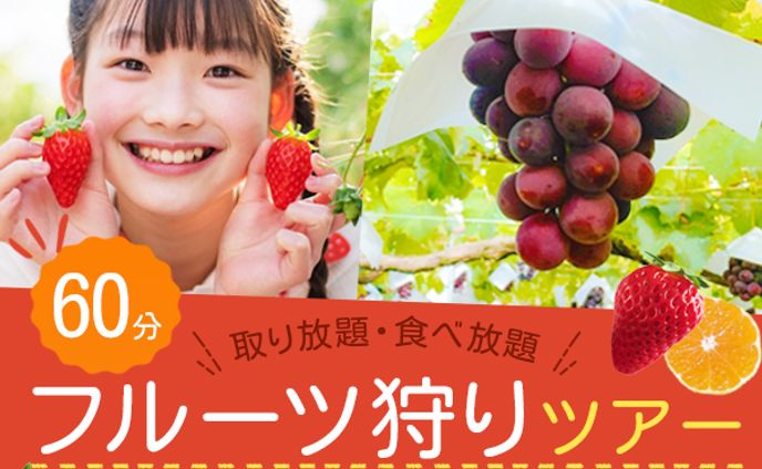 クリエーター、特集