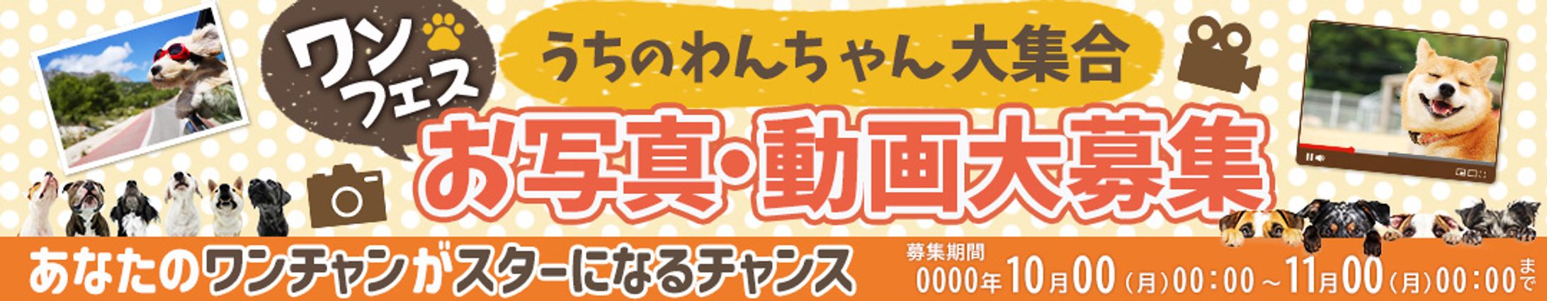 バナー：コンペ提案作品-1