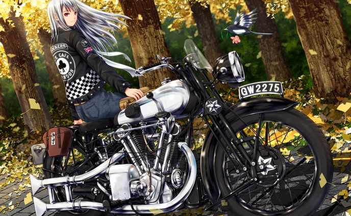 デザイナー・イラストレーター、3dモデル