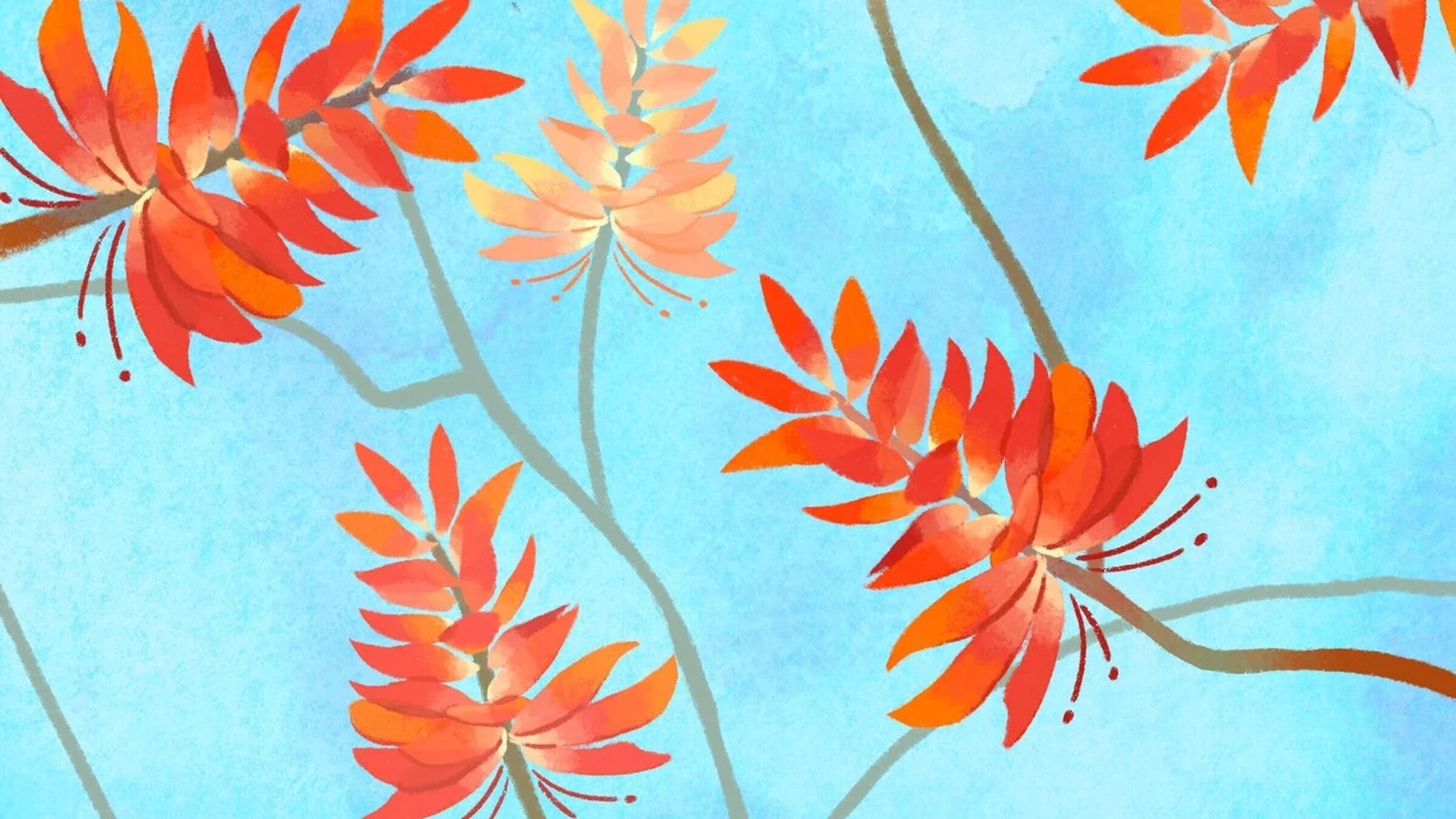 NHK沖縄「デイゴの花編」-1